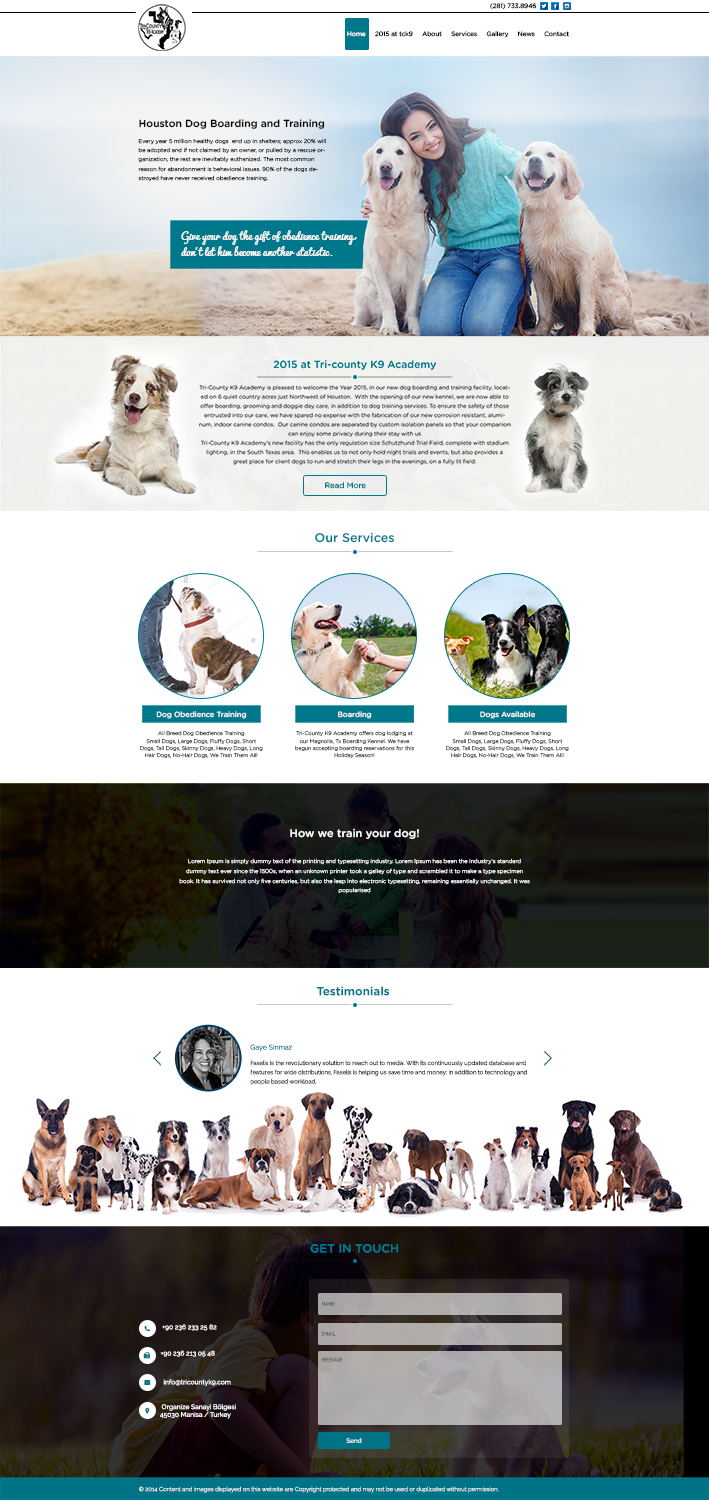 Web Design by Kingdom Vision for Southeast Texas Labrador Retriever Rescue | Design #14228870
