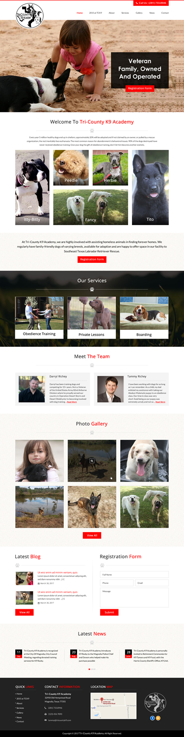 Web Design by jdv for Southeast Texas Labrador Retriever Rescue | Design #14272870