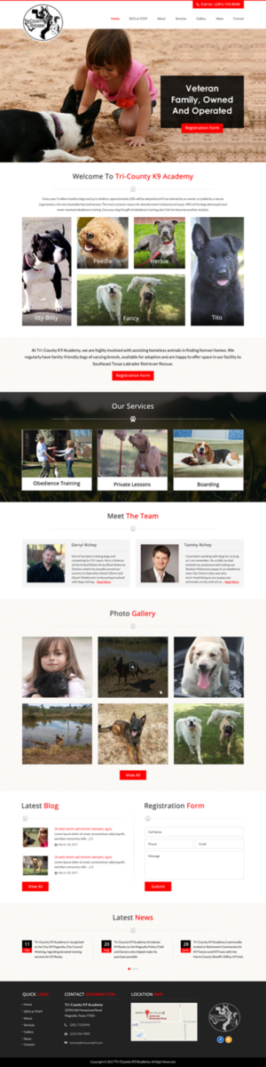 Web Design by jdv for Southeast Texas Labrador Retriever Rescue | Design: #14272870