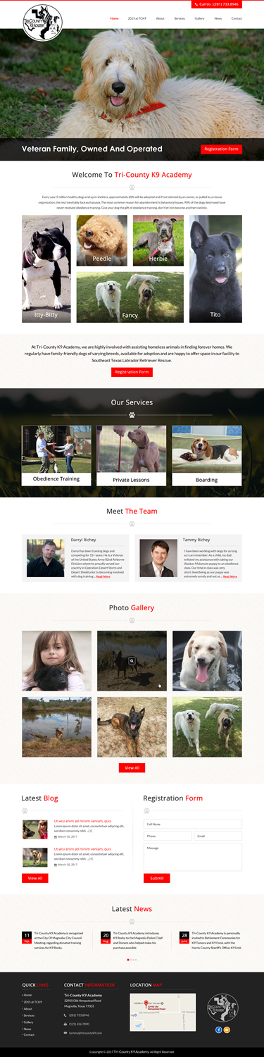 Web Design by jdv for Southeast Texas Labrador Retriever Rescue | Design #14272871