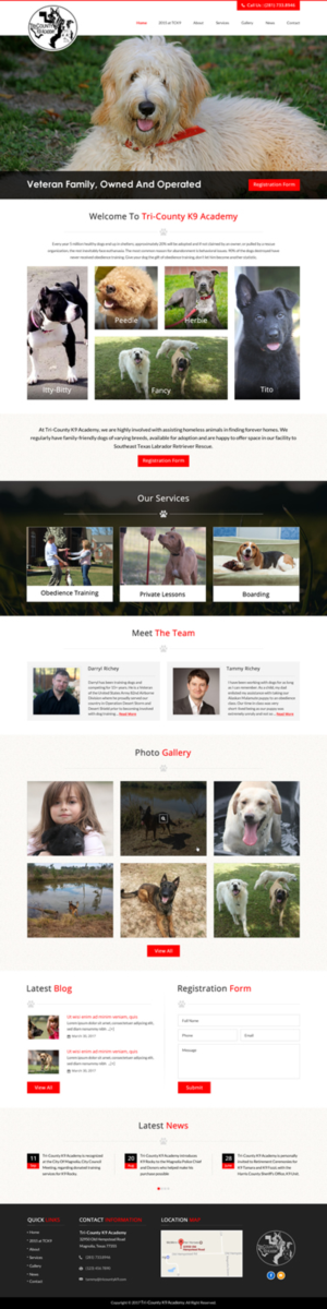 Web Design by jdv for Southeast Texas Labrador Retriever Rescue | Design: #14272871