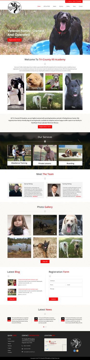 Web Design by jdv for Southeast Texas Labrador Retriever Rescue | Design #14272873
