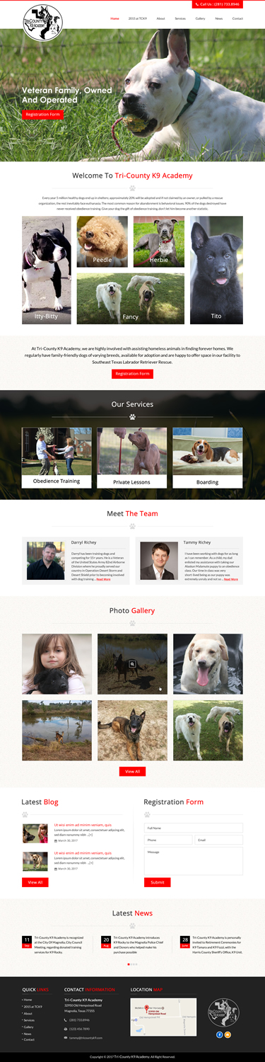 Web Design by jdv for Southeast Texas Labrador Retriever Rescue | Design #14272874