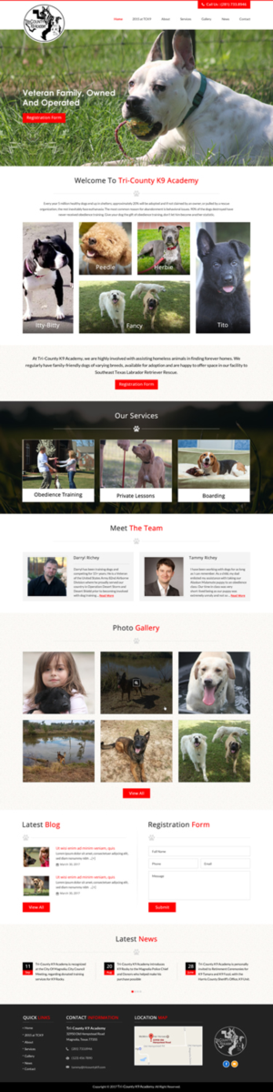 Web Design by jdv for Southeast Texas Labrador Retriever Rescue | Design: #14272874