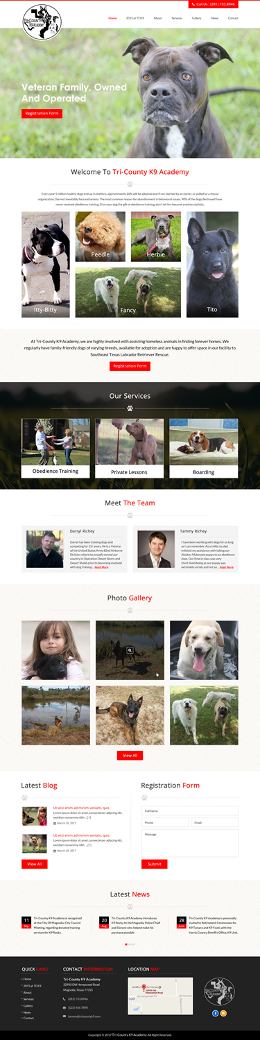 Web Design by jdv for Southeast Texas Labrador Retriever Rescue | Design #14272875