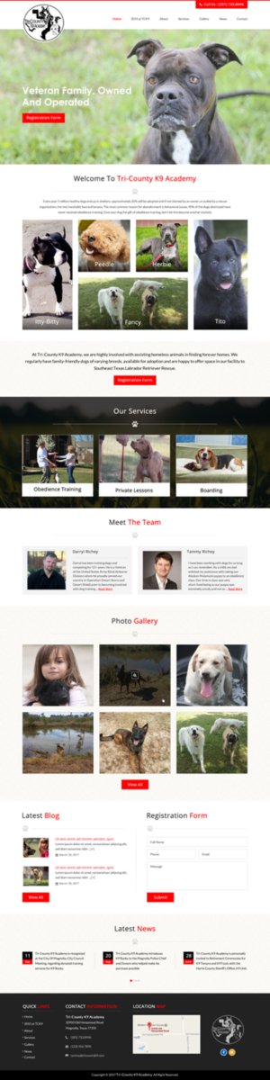 Web Design by jdv for Southeast Texas Labrador Retriever Rescue | Design: #14272875