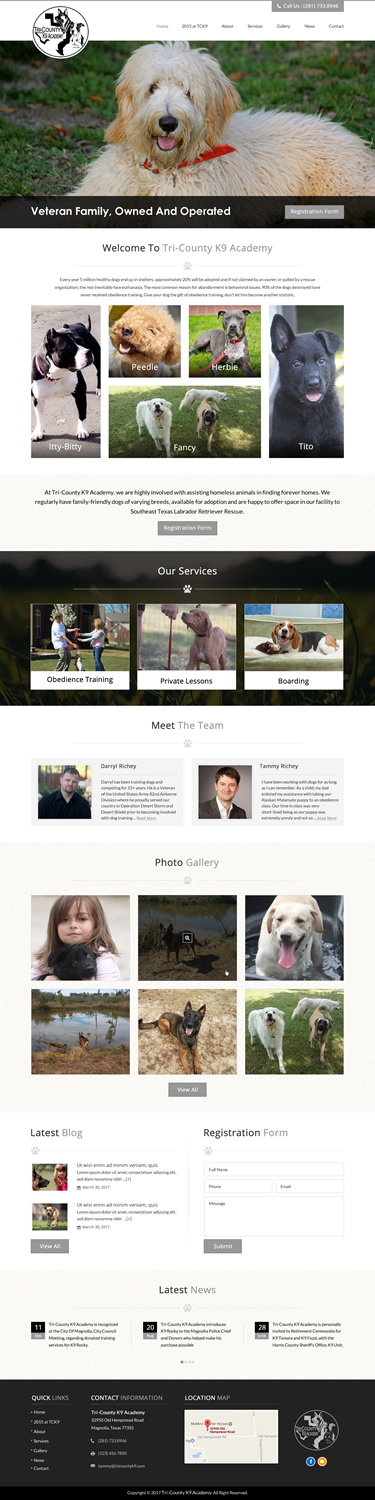 Web Design by jdv for Southeast Texas Labrador Retriever Rescue | Design #14272883