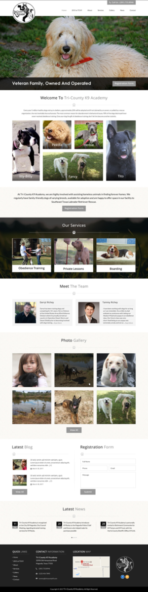 Web Design by jdv for Southeast Texas Labrador Retriever Rescue | Design: #14272883