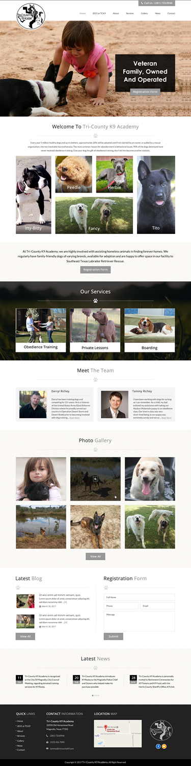 Web Design by jdv for Southeast Texas Labrador Retriever Rescue | Design #14272884