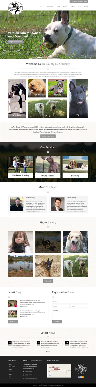 Web Design by jdv for Southeast Texas Labrador Retriever Rescue | Design #14272885
