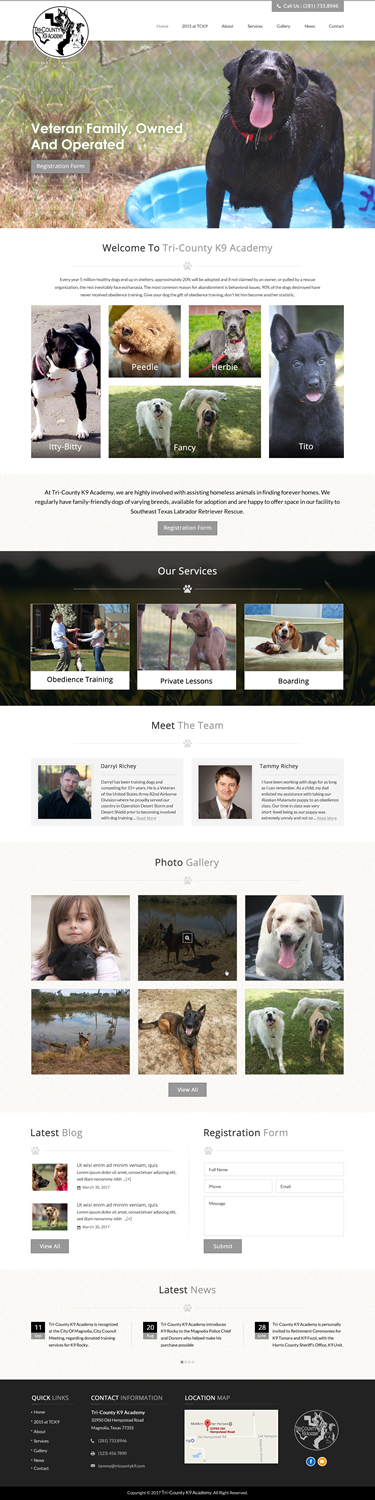 Web Design by jdv for Southeast Texas Labrador Retriever Rescue | Design #14272886