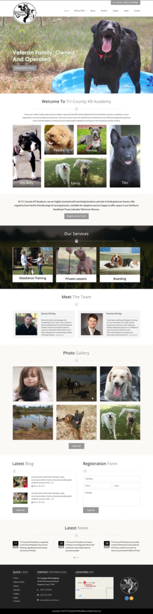 Web Design by jdv for Southeast Texas Labrador Retriever Rescue | Design: #14272886