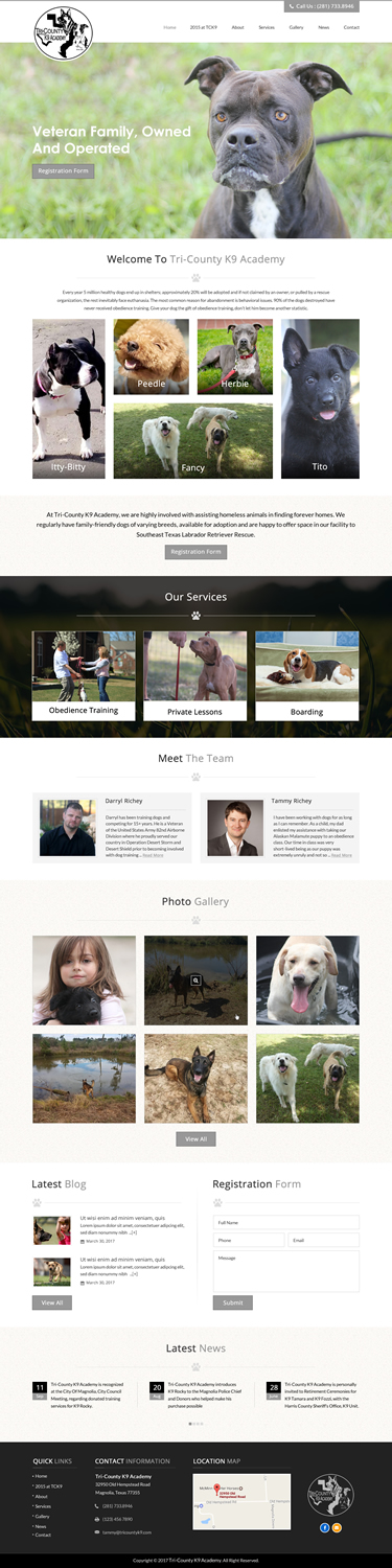 Web Design by jdv for Southeast Texas Labrador Retriever Rescue | Design #14272887
