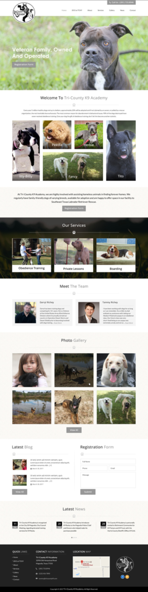 Web Design by jdv for Southeast Texas Labrador Retriever Rescue | Design: #14272887