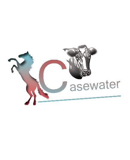Logo Design by graphic_designer for Chasewater | Design #5248503