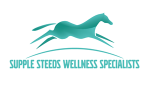 Logo Design by @gus for this project | Design: #5248662