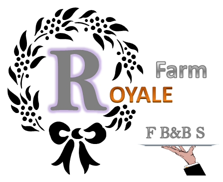 Logo Design by JosephNC for this project | Design #5282948