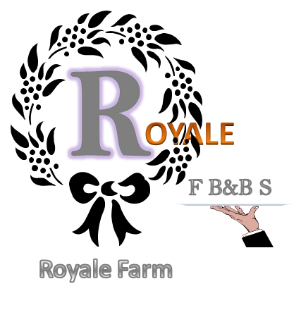 Logo Design by JosephNC for this project | Design #5282971