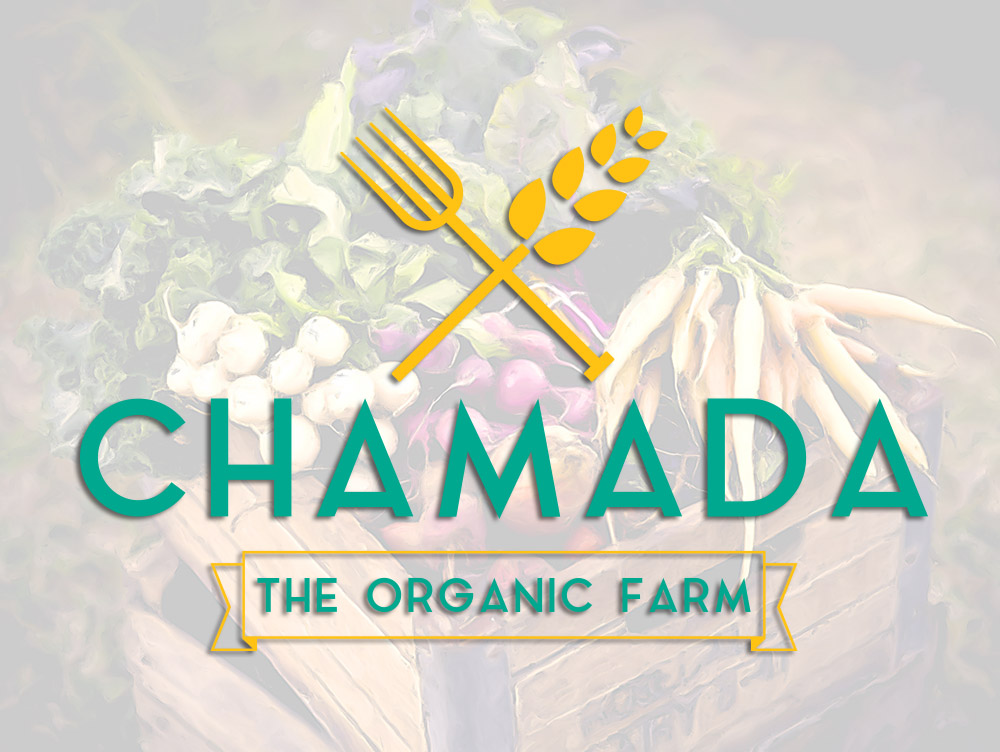 Logo Design by Comunicamente Lab for this project | Design #5268090