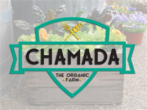 Logo Design by Comunicamente Lab for this project | Design: #5268112