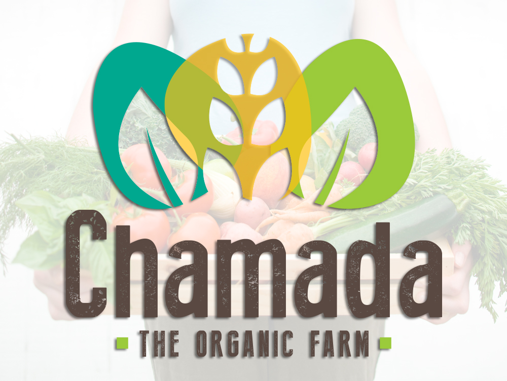 Logo Design by Comunicamente Lab for this project | Design #5268133