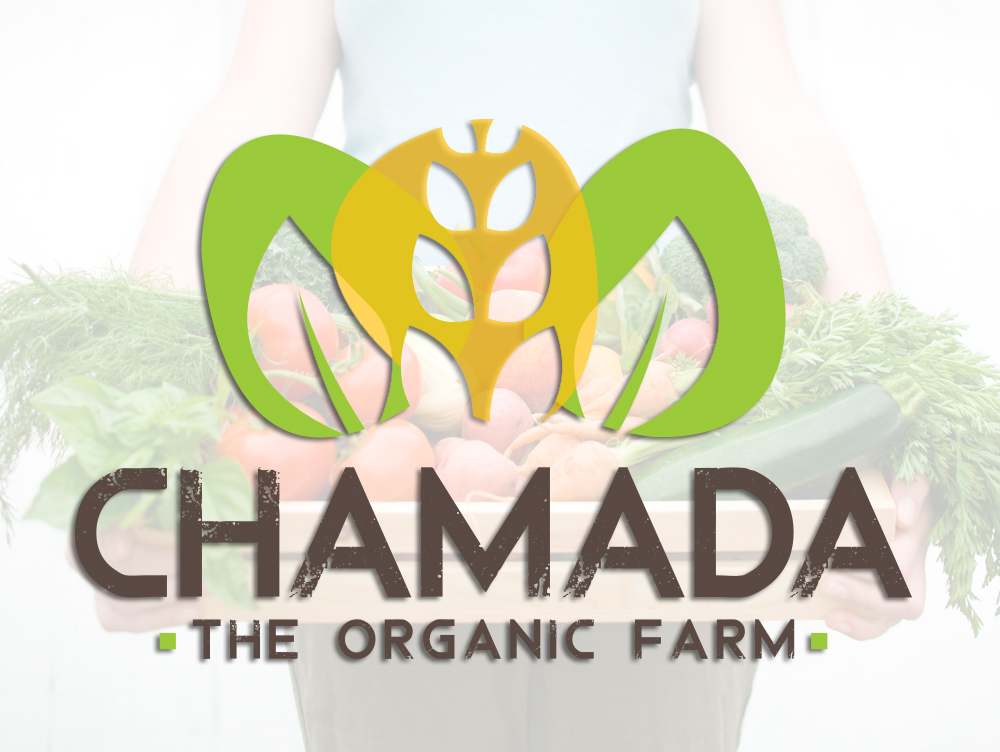 Logo Design by Comunicamente Lab for this project | Design #5268136