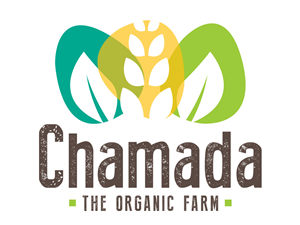 Logo Design by Comunicamente Lab