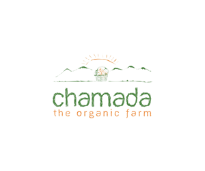 Logo-Design von Mandarina für dieses Projekt | Design: #5318824