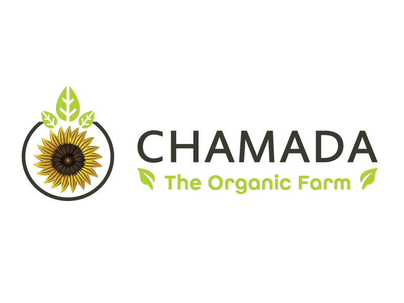 Logo Design by stwebre1a for this project | Design #5318703