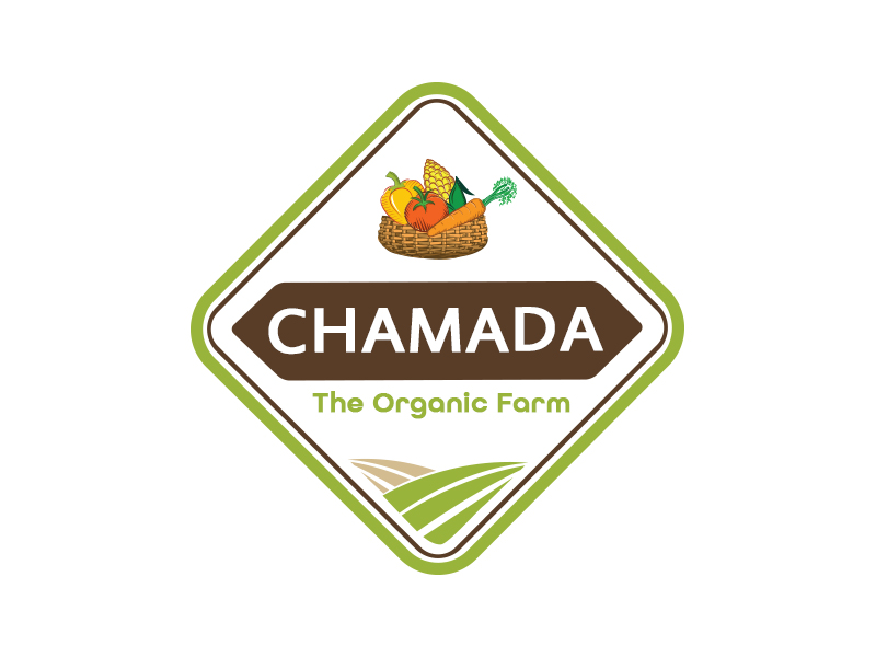 Logo Design by stwebre1a for this project | Design #5327604
