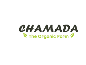 Logo Design by stwebre1a for this project | Design: #5390929