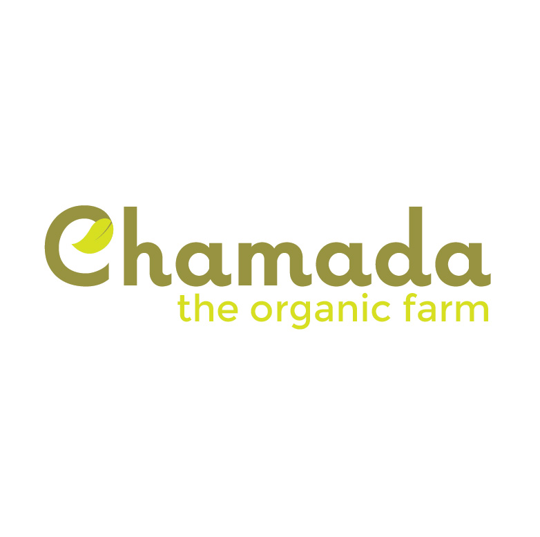 Logo Design by Design Possibilities for this project | Design #5309431