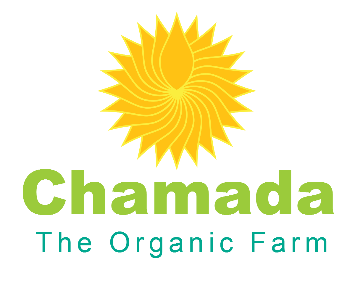 Logo Design by ATUL.SRIVASTAVA for this project | Design #5281547