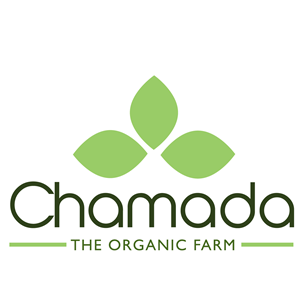 Logo-Design von Thomasdesign für dieses Projekt | Design: #5370232