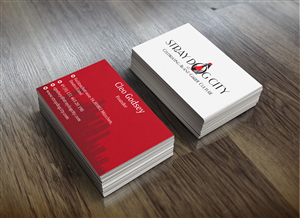 Business Card Design by Hamiz Imran