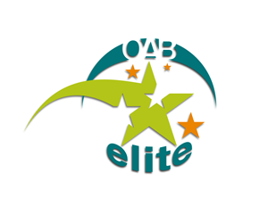 Design de Logo par WholeBranding® pour B2Portals | Design #1464980