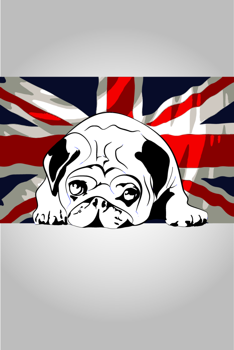 Diseño Gráfico por nsa51southwest para este proyecto | Diseño #5270316