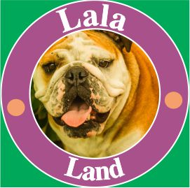 Logo Design by koisir