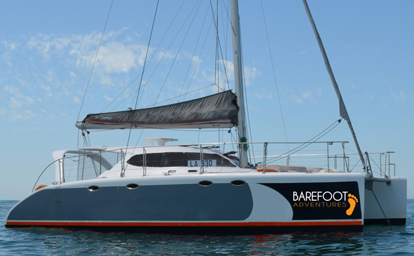 Logo Design by adriennewahl for this project | Design #5259300