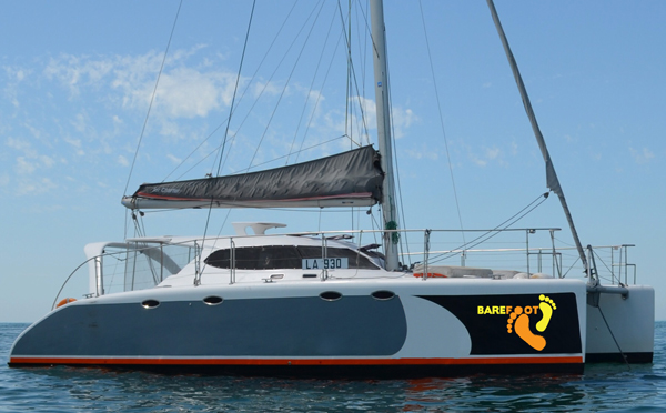 Logo Design by adriennewahl for this project | Design #5259302