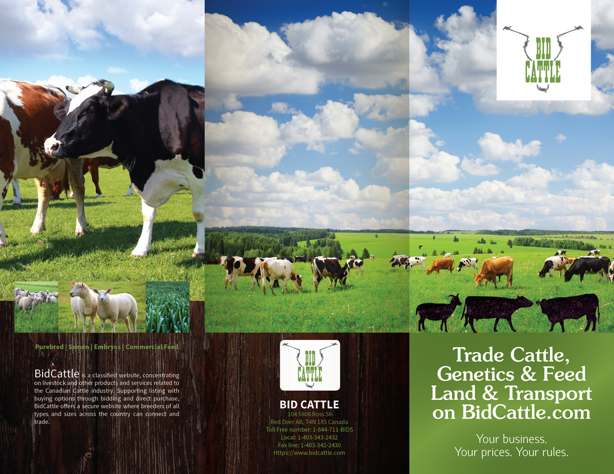 Brochure Design by INGA DESIGN for Target Links 4 U | Design #5272647