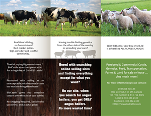 Brochure Design by INGA DESIGN for Target Links 4 U | Design #5272654