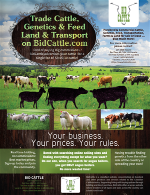 Online Cattle Auction Needs Brochure Design | Design de Brochure par INGA DESIGN