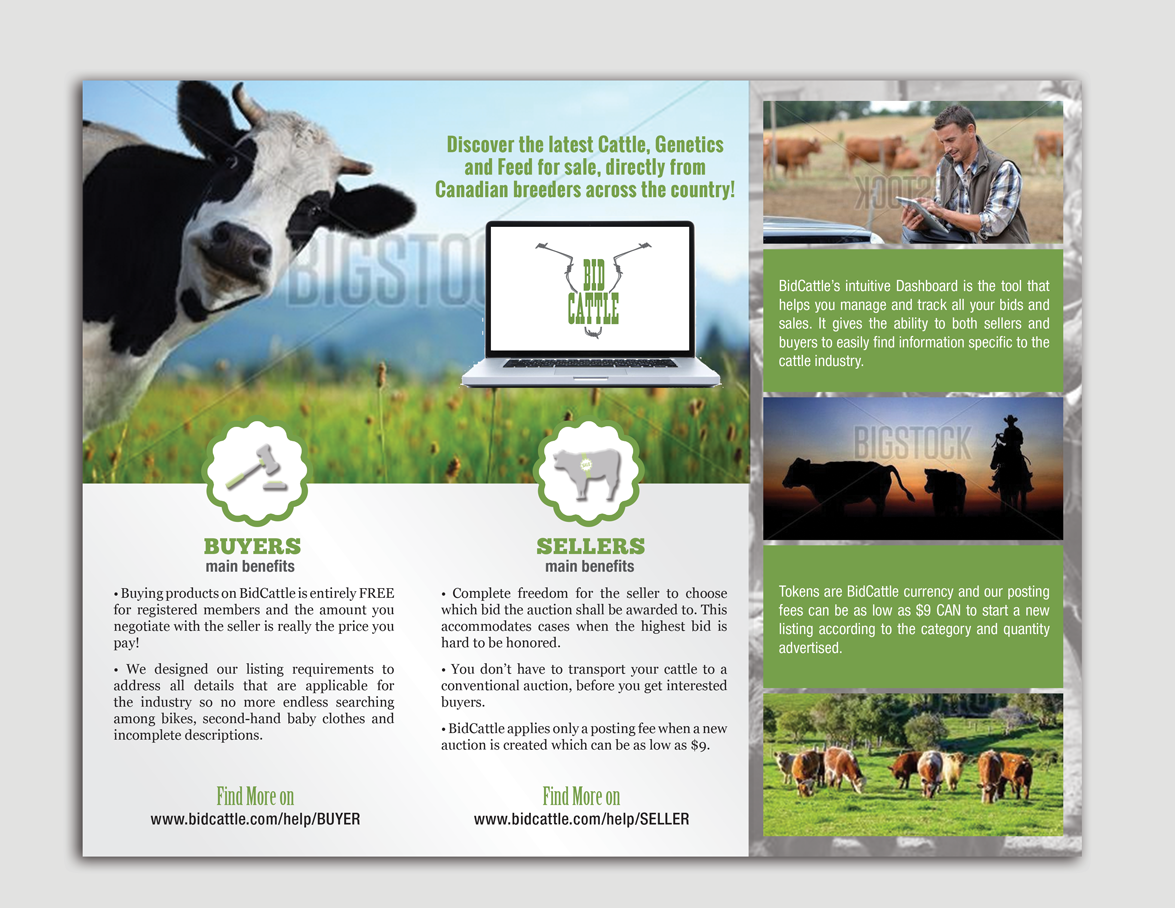 Brochure Design by Adylhere for Target Links 4 U | Design #5287238