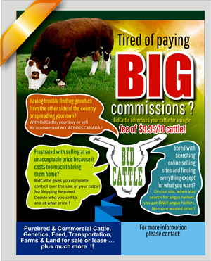 Brochure Design by ArifRif