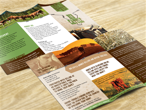 Brochure Design by MilM