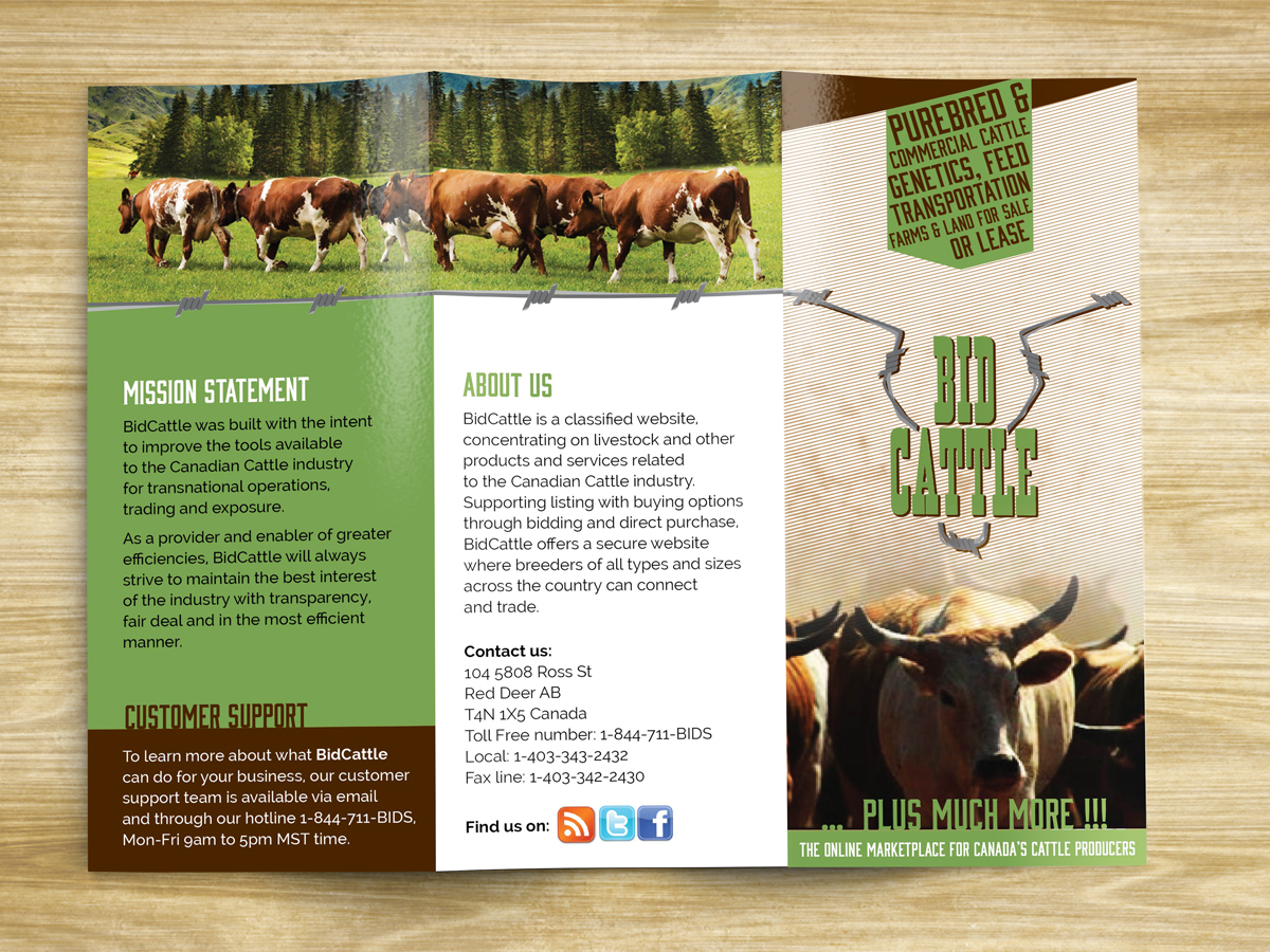 Brochure Design by MilM for Target Links 4 U | Design #5292770