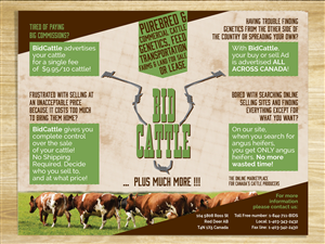 Online Cattle Auction Needs Brochure Design | Design de Brochure par MilM