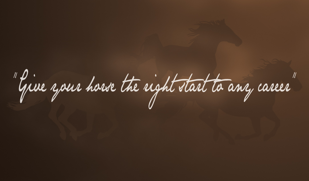 Business Card Design by Alpha Graphs for this project | Design #1480100