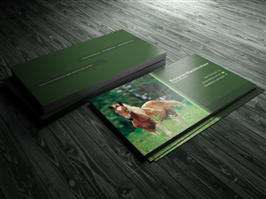 Business Card Design by GraphicSolver for this project | Design: #1477292